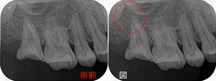 2026 EEdental IMA (2).jpg