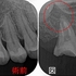 2026 EEdental IMA (2).jpg