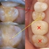 2026 EEdental ISM (1).jpg