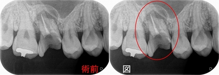 2026 EEdental IYO (1).jpg