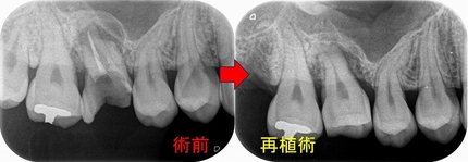 2026 EEdental IYO (2).jpg
