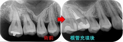 2026 EEdental IYO (3).jpg