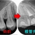 2026 EEdental IYO (3).jpg