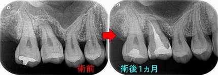 2026 EEdental IYO (4).jpg