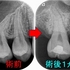 2026 EEdental IYO (4).jpg