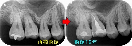 2026 EEdental IYO (5).jpg