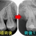 2026 EEdental IYO (5).jpg