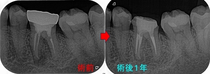 2026 EEdental KKA (3).jpg