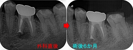 2026 EEdental KKA (6).jpg