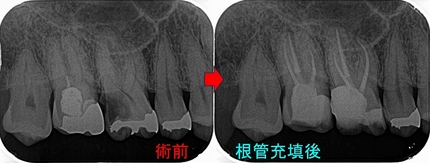2026 EEdental NIM (2).jpg