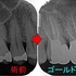 2026 EEdental NIM (3).jpg