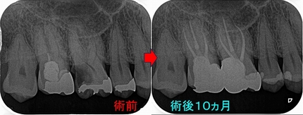 2026 EEdental NIM (4).jpg