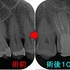 2026 EEdental NIM (4).jpg