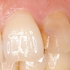 2026 EEdental NMA (0).jpg
