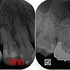 2026 EEdental SUM (0).jpg