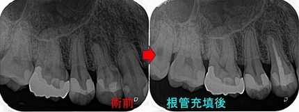 2026 EEdental SUM (1).jpg