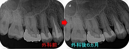 2026 EEdental SUM (3).jpg