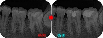 2026 EEdental TET (4).jpg