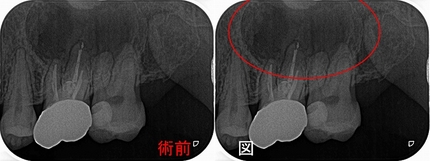2026 EEdental TUT (1).jpg