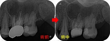 2026 EEdental TUT (2).jpg