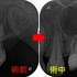 2026 EEdental TUT (2).jpg
