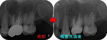 2026 EEdental TUT (3).jpg