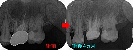 2026 EEdental TUT (4).jpg