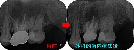 2026 EEdental TUT (5).jpg