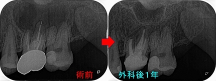 2026 EEdental TUT (6).jpg