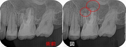 2026 EEdental HAY (2).jpg