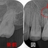2026 EEdental HAY (2).jpg