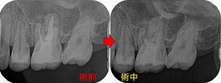 2026 EEdental HAY (3).jpg
