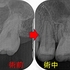 2026 EEdental HAY (3).jpg