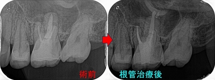 2026 EEdental HAY (4).jpg