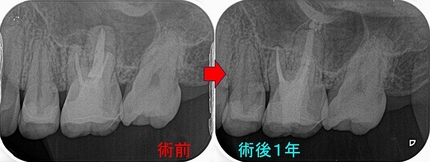 2026 EEdental HAY (5).jpg