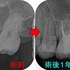 2026 EEdental HAY (5).jpg