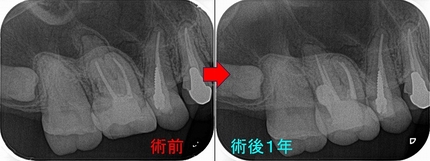 2026 EEdental HTA (2).jpg