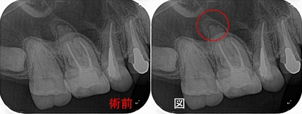 2026 EEdental HTA (3).jpg