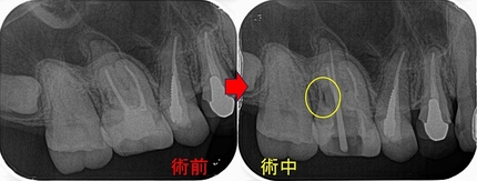 2026 EEdental HTA (4).jpg