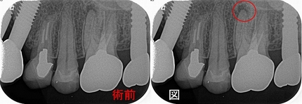 2026 EEdental MAM (1).jpg