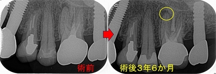 2026 EEdental MAM (3).jpg