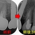 2026 EEdental MAM (3).jpg