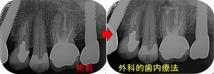 2026 EEdental MAM (4).jpg