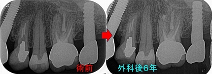 2026 EEdental MAM (5).jpg