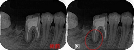 2026 EEdental NAY (1)a.jpg