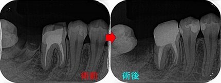 2026 EEdental NAY (2)a.jpg