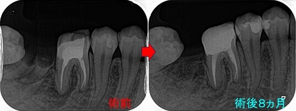 2026 EEdental NAY (3)a.jpg