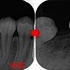 2026 EEdental NAY (3)a.jpg