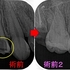 2026 EEdental NHA (2).jpg