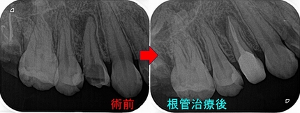 2026 EEdental NHA (3).jpg